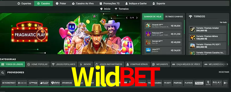 cassino Wildbet