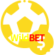 Aposte em esportes do mundo todo no Wildbet!